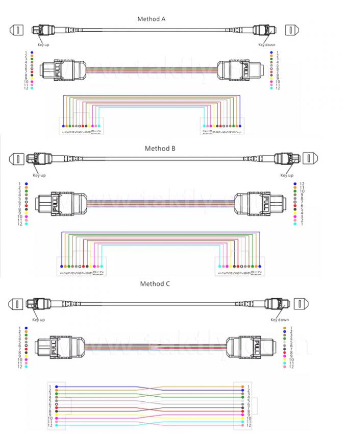 100G एमपीओ MTP Male MM Low Insertion Loss 3.0mm Trunk 12C Fiber Optic Patchcord 0